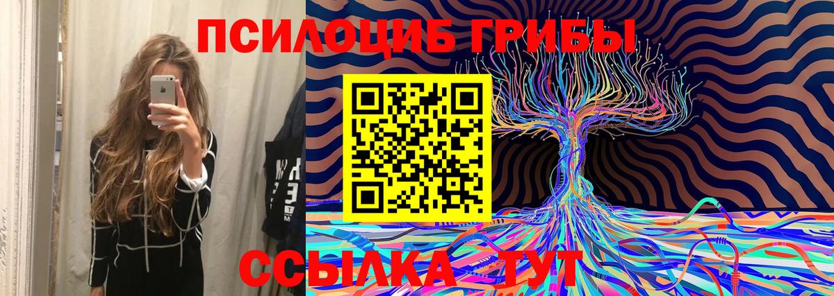 Иваново  Псилоцибиновые грибы Cubensis  Псилоцибиновые грибы Cubensis  Вход с VPN 